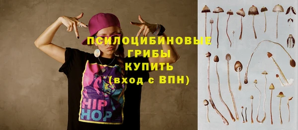 кокс Магас
