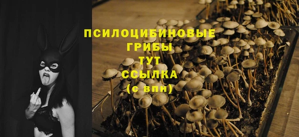 винт Медвежьегорск