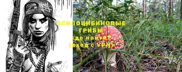 spice Новый Уренгой
